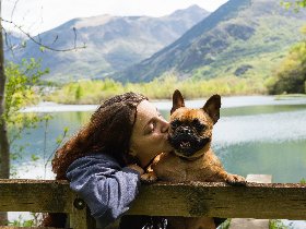 Kurzurlaub mit Hund am Bodensee - 2 Tage
