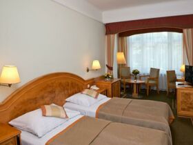 Entspannungsaufenthalt im Parkhotel in Marienbad - 2 Nächte