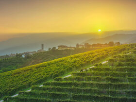 Kulinarikreise durch Venetien | Pieve di Soligo entdecken | 6 Nächte