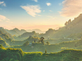 Kulinarikreise durch Venetien | Pieve di Soligo entdecken | 6 Nächte