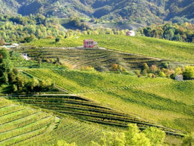 Kulinarikreise durch Venetien | Pieve di Soligo entdecken | 6 Nächte