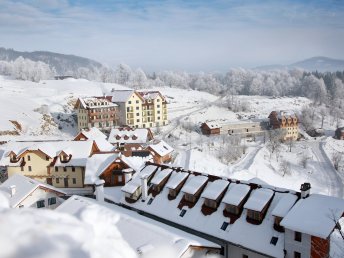 Ruhiger Silvesterurlaub mit Hund | 6 Nächte