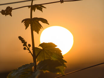Bild 23 von 27