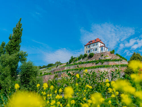 Weinhotel Freylich Zahn