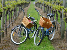 4 Tage Drahtesel - Die Weinregion Saale-Unstrut mit dem Rad 