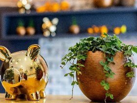 3 Tage Kurzurlaub - Auszeit vom Alltag  mit 2 Übernachtungen