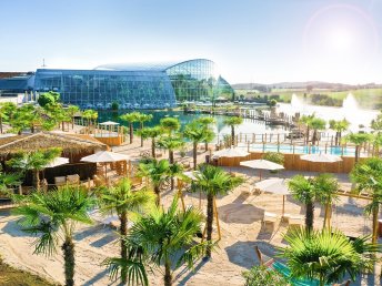 Wein, Wellness & Hohenlohe / 4 Tage auf dem Weingut mit Pferdekutsche und Therme