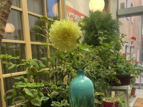 Auszeit vom Alltag inkl. kulinarischem Genuss  | 6  Nächte     