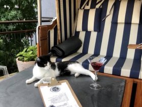 Auszeit vom Alltag inkl. kulinarischem Genuss  | 6  Nächte     