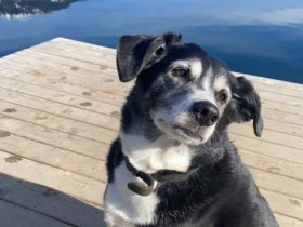 Auszeit vom Alltag inkl. kulinarischem Genuss  | 6  Nächte     