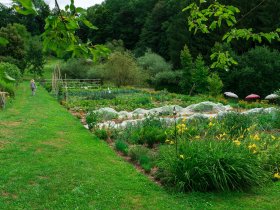 FASTEN - Kraft und Leichtigkeit durch Yoga & Fasten 