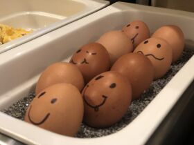 3 Tage Kurzurlaub - Winter & Frühjahrsangebot 