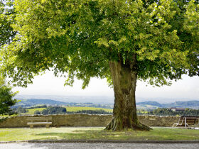 Wanderlust auf der Burg Kreuzen | 4 Tage Wanderurlaub mit historischem Flair