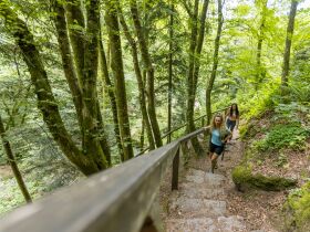 Wanderlust auf der Burg Kreuzen | 4 Tage Wanderurlaub mit historischem Flair