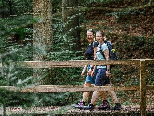 Wanderbare Herbsttage auf Burg Kreuzen | Auszeit im historischen Ambiente!