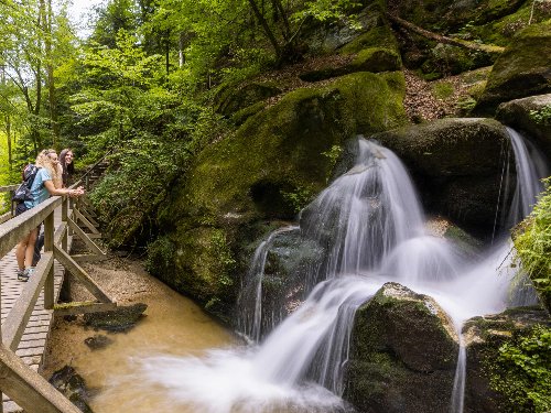 Last Minute Aktivtage auf der Burg Kreuzen | Wolfsschlucht erleben!