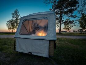 Über Himmelfahrt & Pfingsten auf Rügen im Schlafstrandkorb inkl. Frühstück
