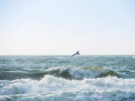 Winter Luxus & Komfort auf Sylt inkl. Wellness 