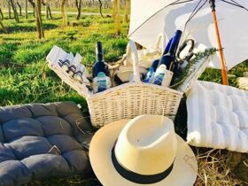 4 Tage Auszeit am Bodensee - Bio, Genuss & Ruhe pur!