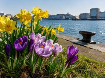 Frühlingserwachen in Kiel - 2 Nächte