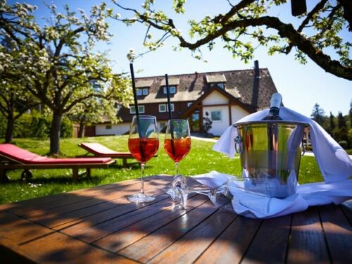 Romantik Hotel Rindenmühle
