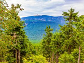 Romantischer Wellnessurlaub - 3 Tage im Nationalpark Harz 