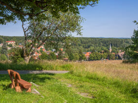 Romantischer Wellnessurlaub - 3 Tage im Nationalpark Harz 