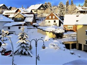 6 Tage Spar-Erlebnis-Paket Harz inkl. 48h Harzcard 