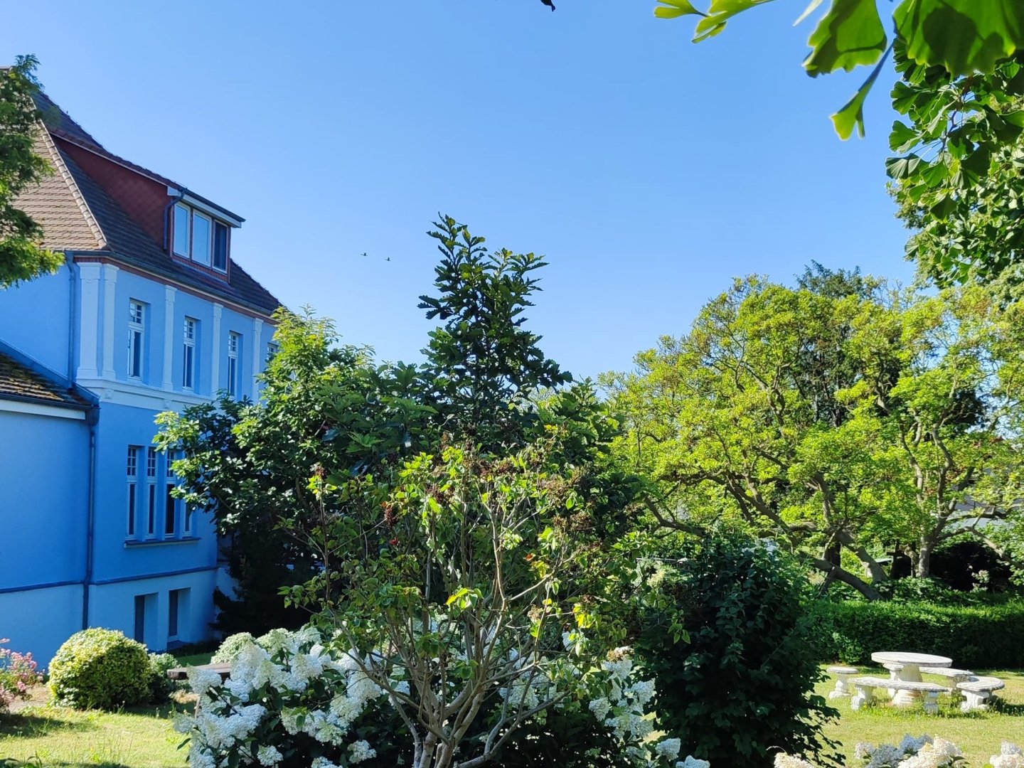 Sommerauszeit an weit­läufigen Stränden inkl. 1 x Abendessen