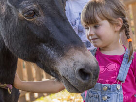 Aktiv entspannen in den Dolomiten inkl. Massage,Wellness und Innenpool | 8 Tage