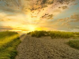 5 Tage  Maritime Auszeit - Das Weltnaturerbe Wattenmeer erleben  