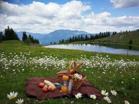 Winterauszeit in Slowenien inkl. Massage und Halbpension | 2 Nächte