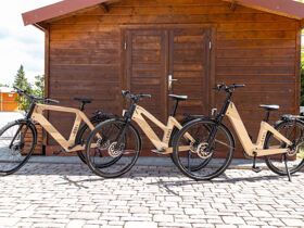 Rhein in den Wein! - 3 Tage mit Weinprobe & Automuseum