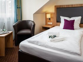 Rhein in den Wein! - 3 Tage mit Weinprobe & Automuseum