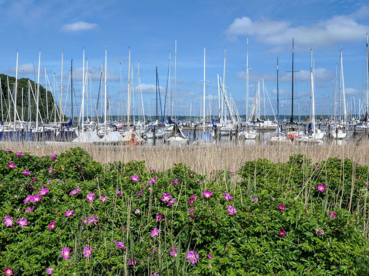 Kurzurlaub direkt am Strand von Glücksburg