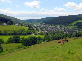 6 Tage | Kurzurlaub in Winterberg inkl. Sauerland Card