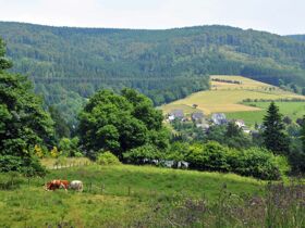 4 Tage | Kurzurlaub in Winterberg inkl. Sauerland Card