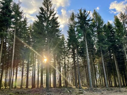 6 Tage | Kurzurlaub in Winterberg inkl. Sauerland Card