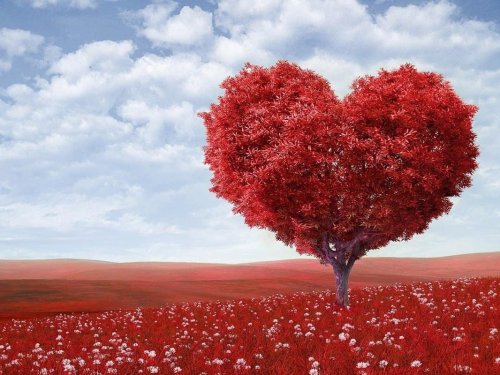 Valentinstag-Special