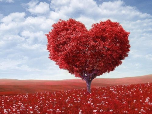 Romantisches Valentinstag-Special in Meißen