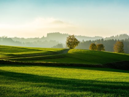 Auszeit im Mühlviertel inkl. Brauereiführung | 2 Nächte