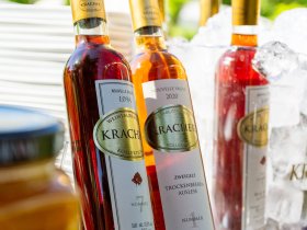 Kurzurlaub in der Region Neusiedler See inkl. Weinverkostung | 1 Nacht