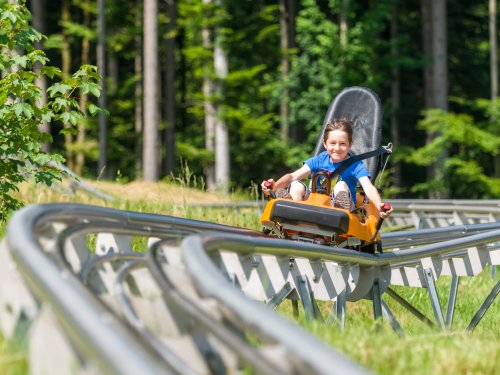 4 Tage Aktivurlaub am Ještěd: Zoo Liberec & Bobbahn erleben inklusive Halbpension