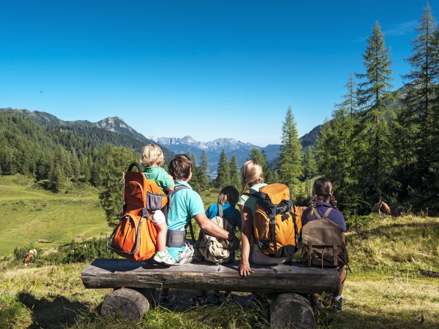 Aktivurlaub für groß und klein in der Region Murtal I 7 Nächte