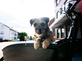 Relax & Chill - inkl. Dinner wie ICH! es will! (4 Tage)