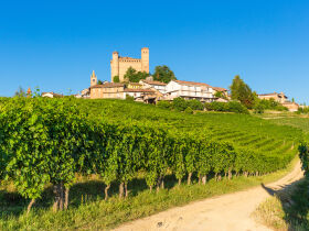 Weingenuss in Piemont - Italiens Geschmack erleben  | 3 Nächte