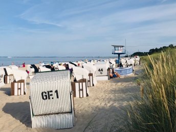 Frühsommer-Tage
