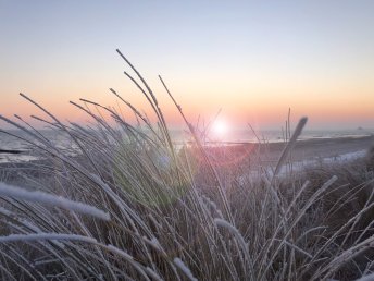 Winter-Special für Insel-Liebhaber