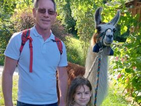 Genuss & Therme im Burgenland inkl. Thermenermäßigung | 2 Nächte