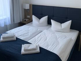 Hauptstadt-Hundeglück: 3 Tage Berliner Erkundung